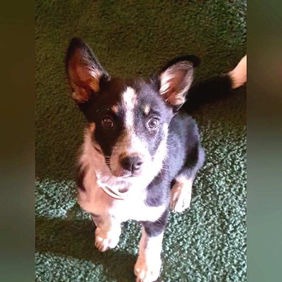 COPY - MISSY'S BLOG - Picture 8 of 8